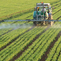 Pesticides and Residues